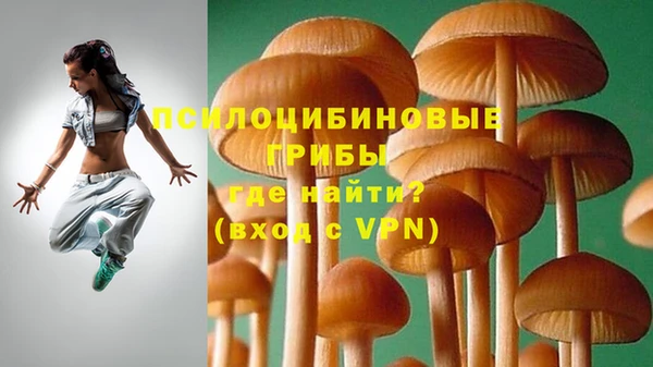 трава Абдулино