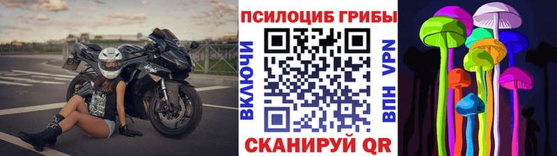 Псилоцибиновые грибы MAGIC MUSHROOMS  Владикавказ 