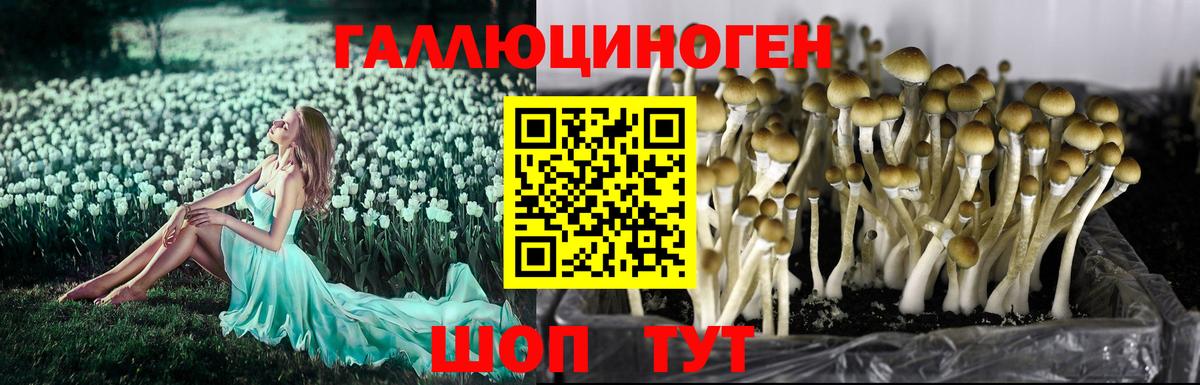 Владикавказ  Галлюциногенные грибы Magic Shrooms  Вход с VPN 