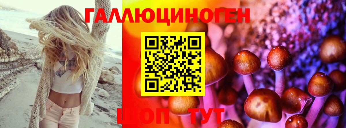 Псилоцибиновые грибы прущие грибы Владикавказ